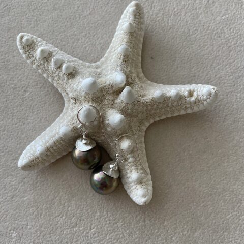 Grey shell pearl with disc